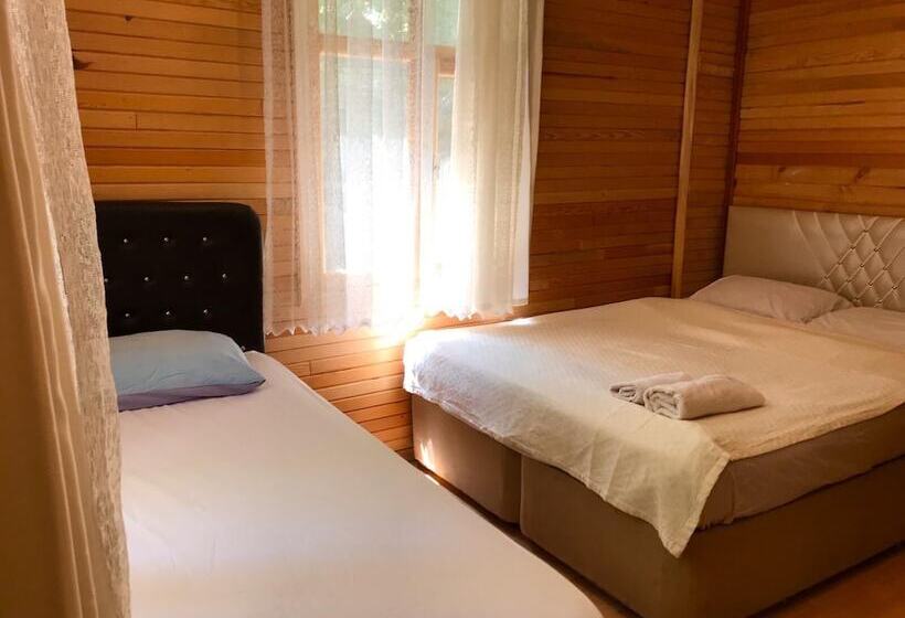 اتاق راحتی, Kapuzbasi Selalesi Sahin Motel