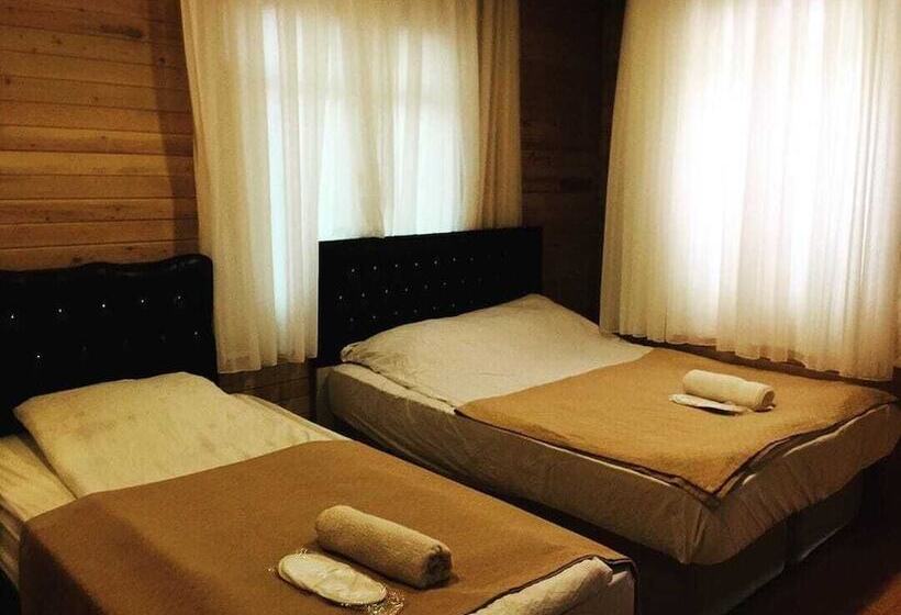 اتاق راحتی, Kapuzbasi Selalesi Sahin Motel