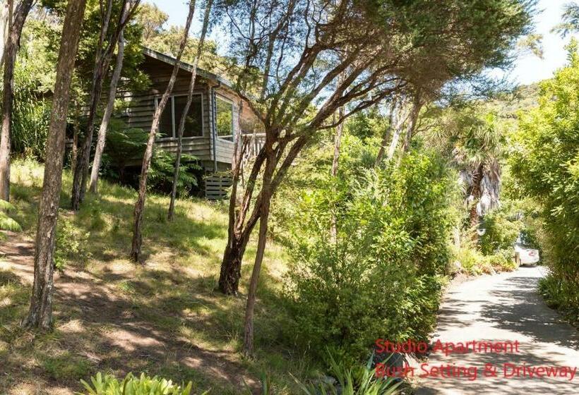 استودیوی استاندارد, Bay Of Islands Holiday Apartments