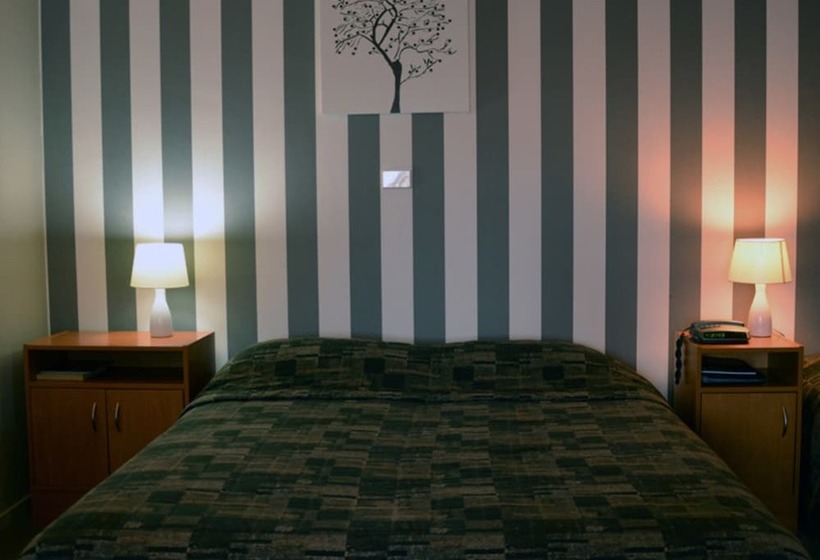 استودیو خانوادگی, Kiwi Studios Motel