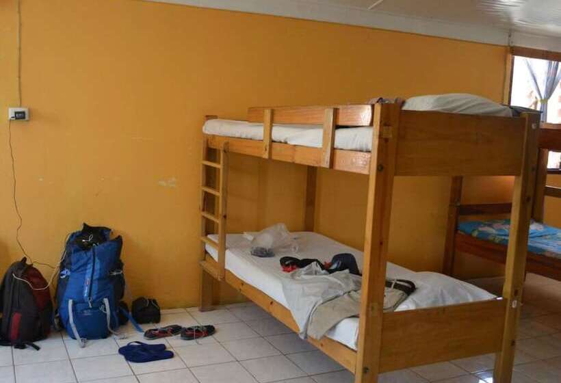 تختخواب در اتاق مشترک, Ratu Kini Backpackers & Dive Resort