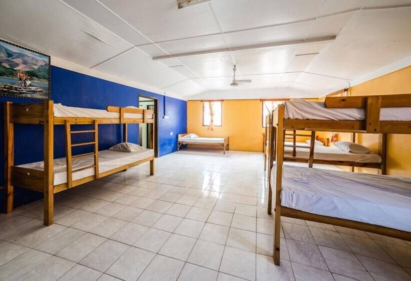 تختخواب در اتاق مشترک, Ratu Kini Backpackers & Dive Resort