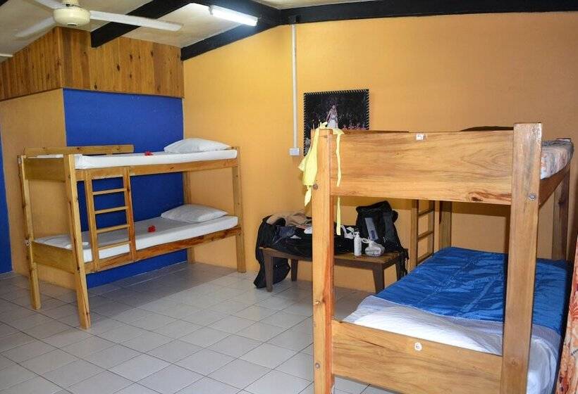 تختخواب در اتاق مشترک, Ratu Kini Backpackers & Dive Resort