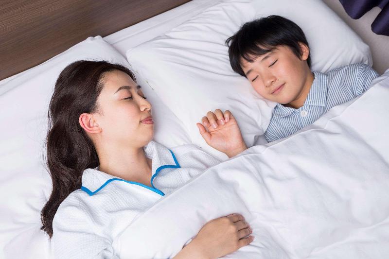 اتاق استاندارد با تخت دوبل, Comfort  Hamamatsu