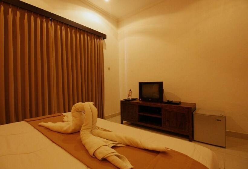 اتاق لوکس, Premier Surf Camp