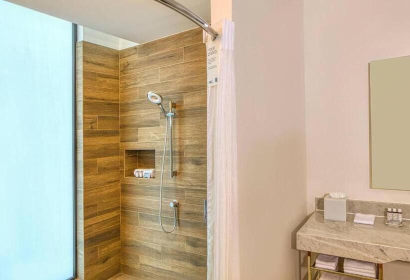 اتاق استاندارد با تخت بزرگ, Ac Hotel Queretaro Antea