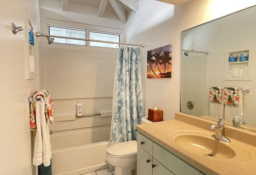 اتاق استاندارد, Big Island Retreat