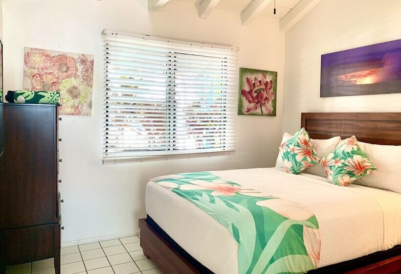 اتاق استاندارد, Big Island Retreat