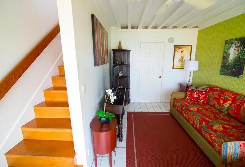 سوییت با چشم‌انداز دریا, Big Island Retreat