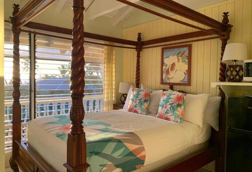 اتاق استاندارد, Big Island Retreat