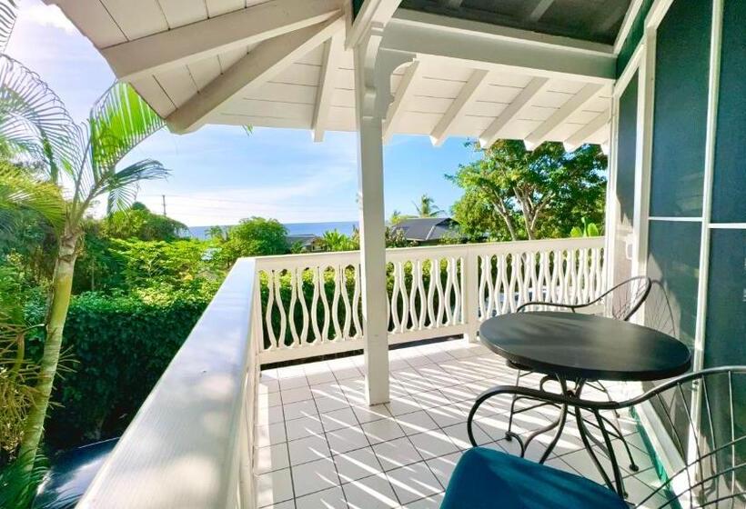 اتاق استاندارد, Big Island Retreat