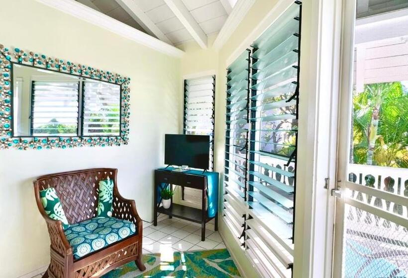 اتاق استاندارد, Big Island Retreat