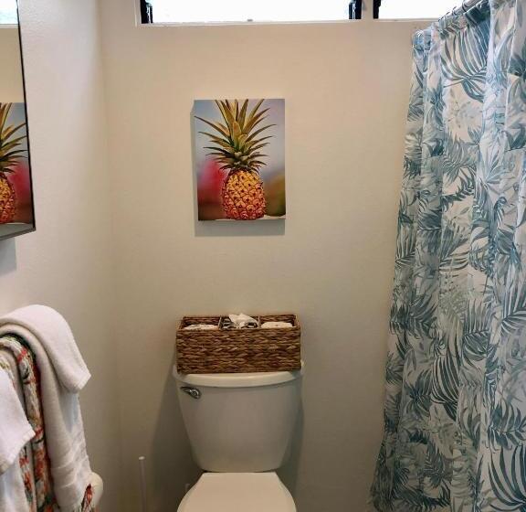 سوییت, Big Island Retreat