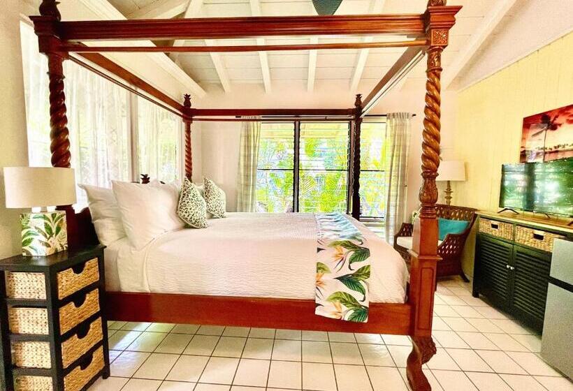 اتاق استاندارد, Big Island Retreat