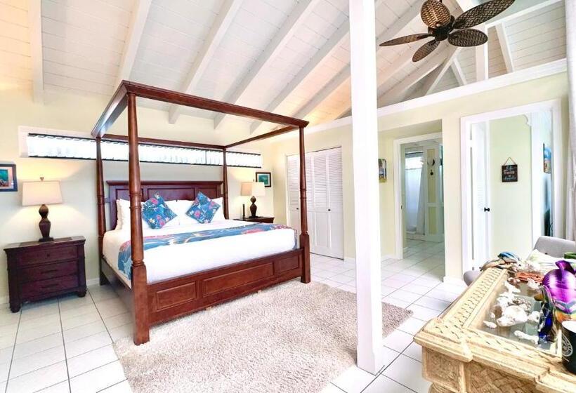 سوییت, Big Island Retreat