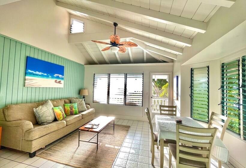 اتاق استاندارد, Big Island Retreat
