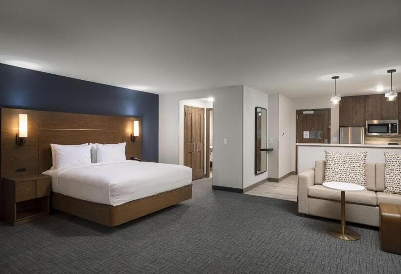 استودیو اجرایی, Residence Inn By Marriott Denver Aurora