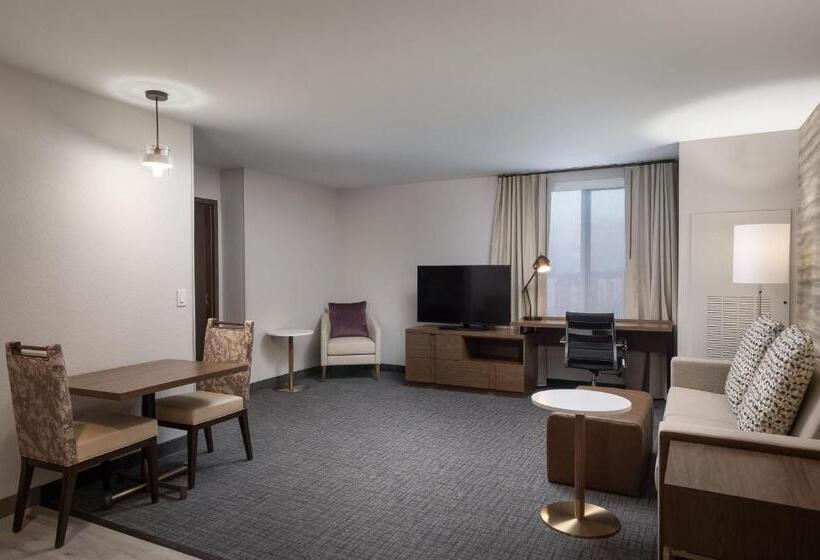 سوئیت با تخت بزرگ, Residence Inn By Marriott Denver Aurora