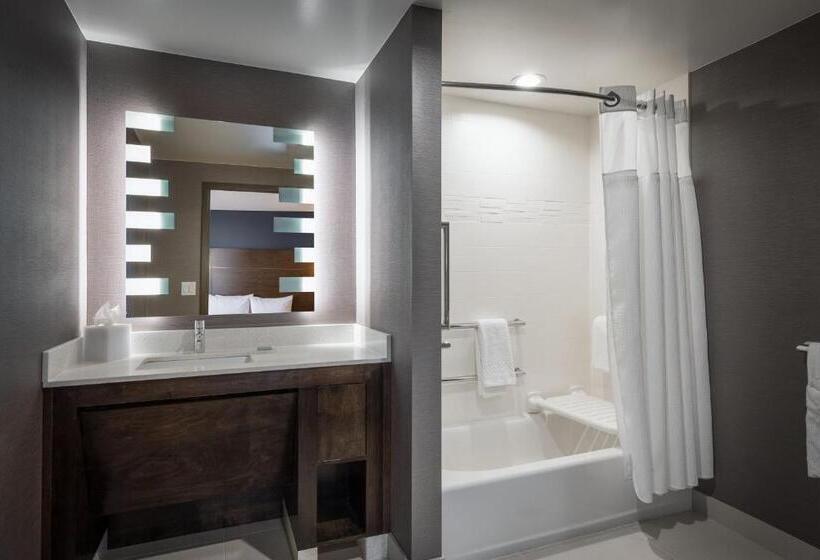 سوئیت با تخت بزرگ, Residence Inn By Marriott Denver Aurora