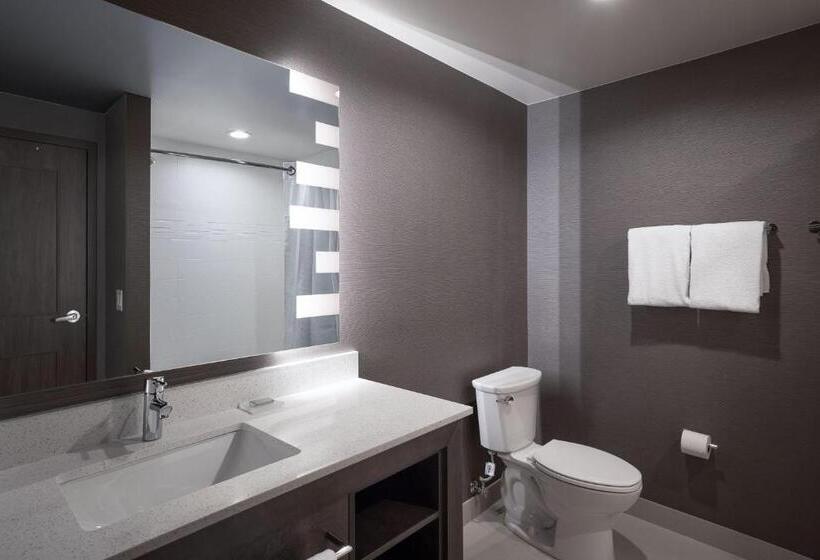 سوئیت با تخت بزرگ, Residence Inn By Marriott Denver Aurora