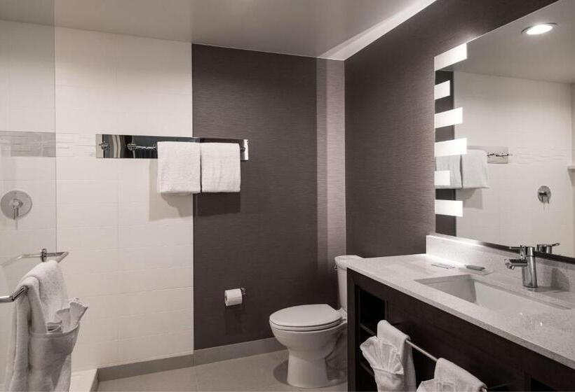 سوئیت با تخت بزرگ, Residence Inn By Marriott Denver Aurora