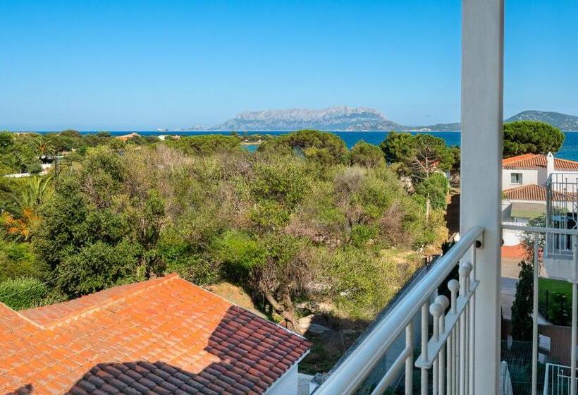 اتاق اساندارد با چشم‌انداز جانبی به دریا, The Pelican Beach Resort & Spa  Adults Only