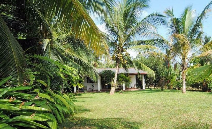 اتاق استاندارد یک نفره, Mangrove Villa   Yoga & Ayurveda