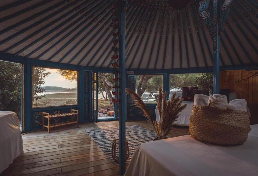 اتاق لوکس, Wakana