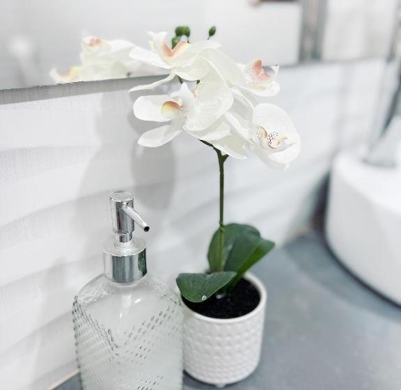 اتاق عادی, Comunidad Calle 13 Hotel Boutique