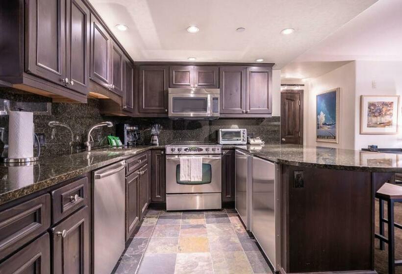 آپارتمان 1 خوابه, Lodge At Vail Condominiums