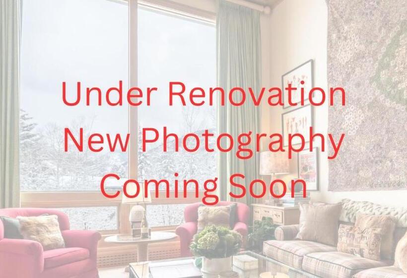 آپارتمان 1 خوابه با چشم‌انداز, Lodge At Vail Condominiums