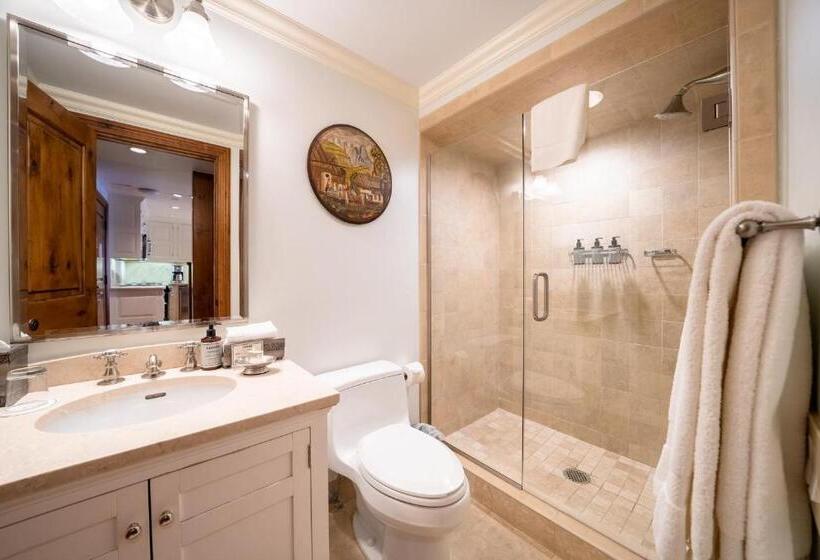 آپارتمان 1 خوابه با چشم‌انداز, Lodge At Vail Condominiums