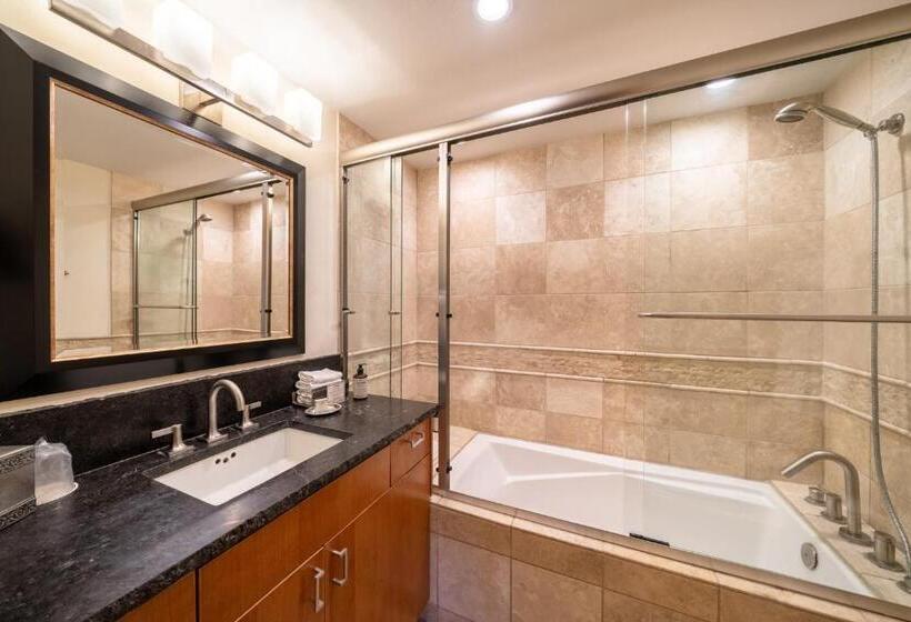 آپارتمان 1 خوابه, Lodge At Vail Condominiums