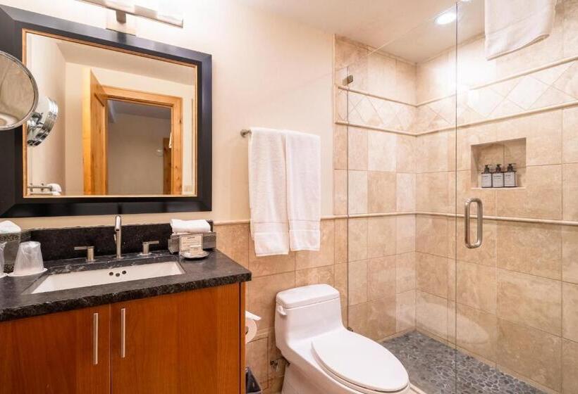 آپارتمان 1 خوابه, Lodge At Vail Condominiums