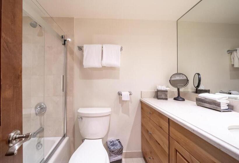 آپارتمان 2 خوابه, Lodge At Vail Condominiums