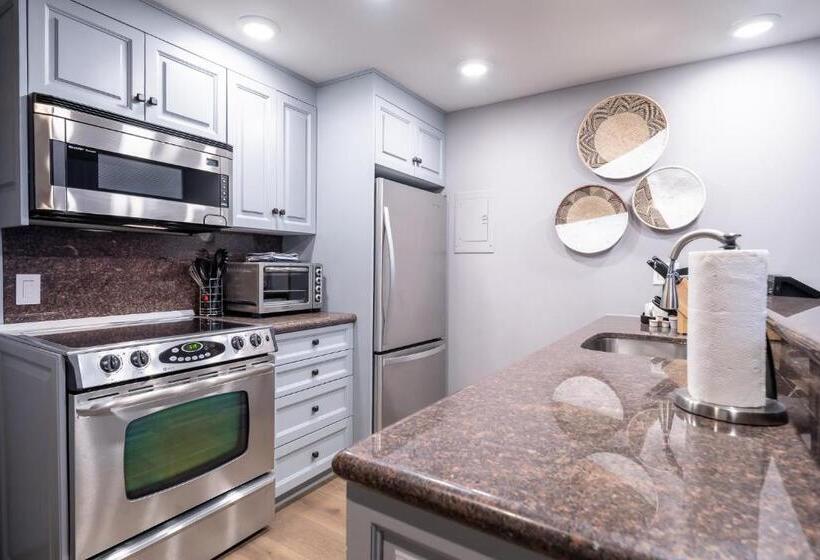 آپارتمان 3 خوابه, Lodge At Vail Condominiums
