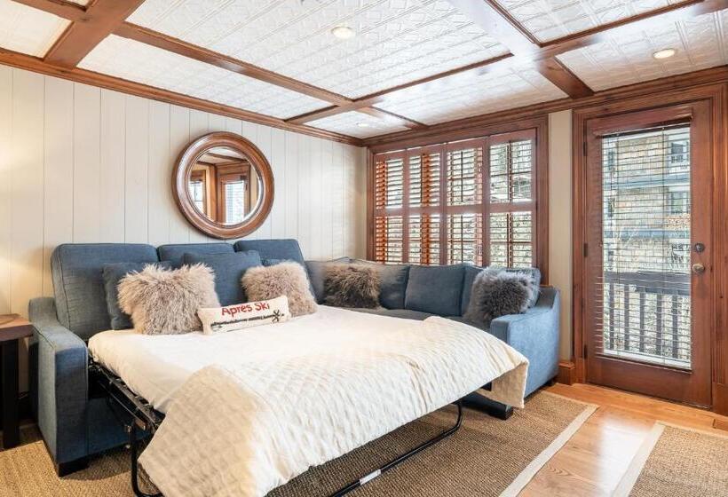 آپارتمان 1 خوابه با چشم‌انداز, Lodge At Vail Condominiums