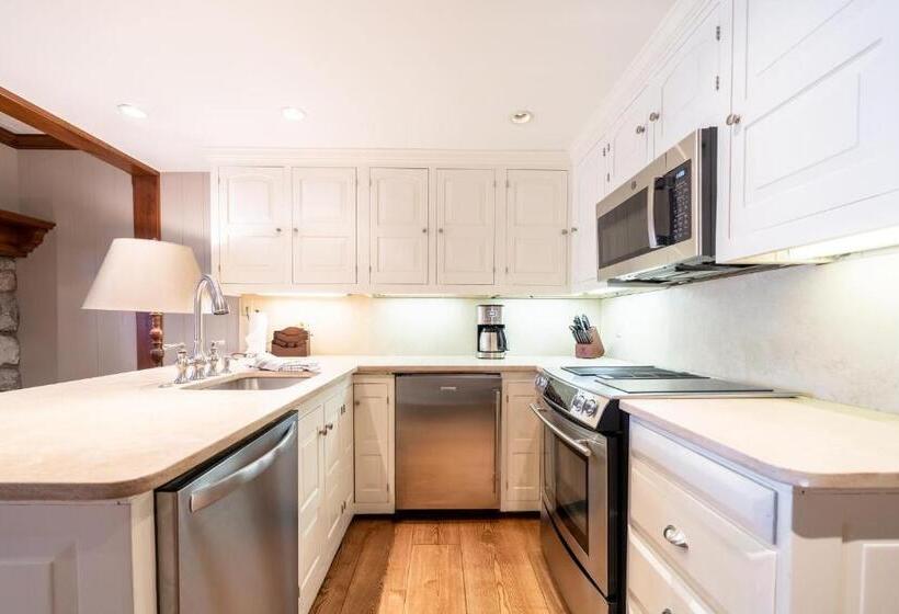 آپارتمان 1 خوابه با چشم‌انداز, Lodge At Vail Condominiums