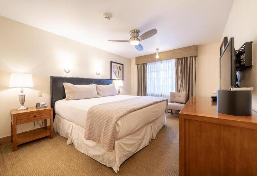 آپارتمان 1 خوابه, Lodge At Vail Condominiums