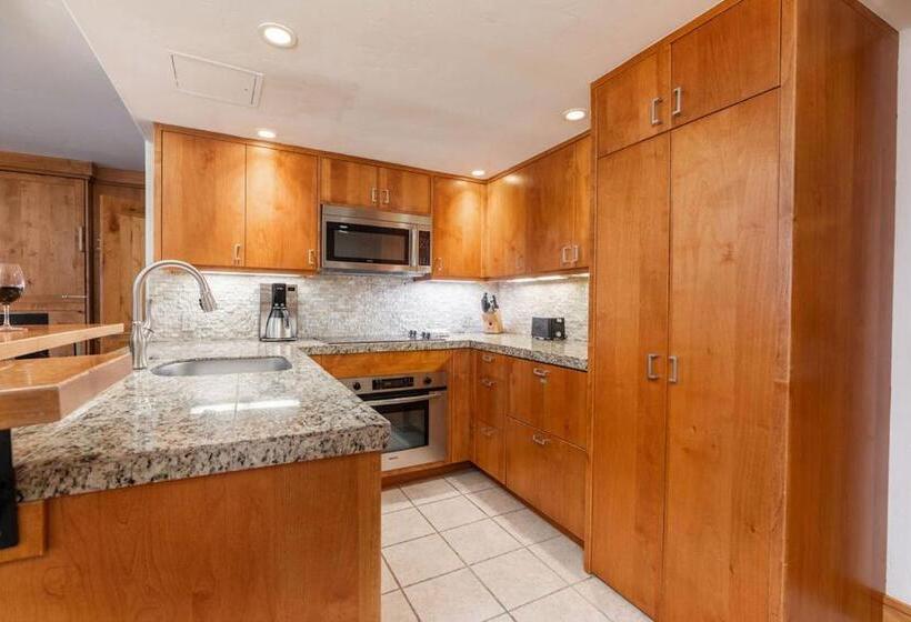 آپارتمان 1 خوابه, Lodge At Vail Condominiums