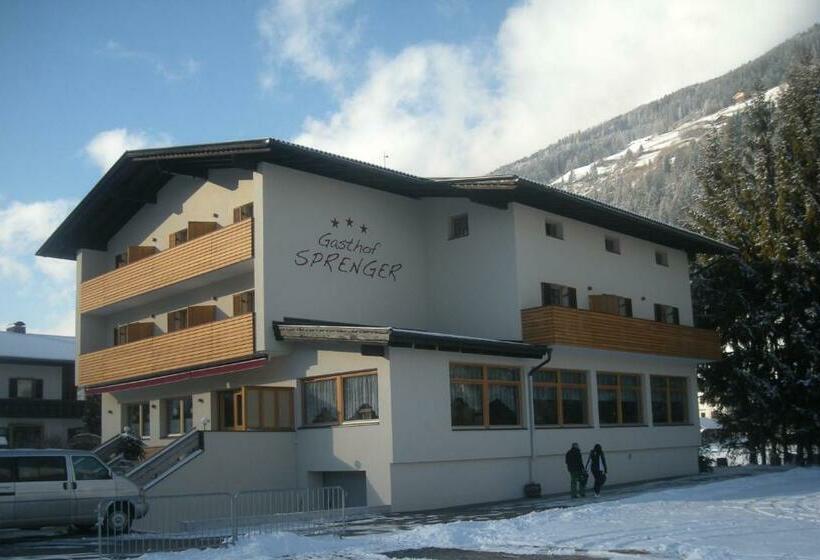 اتاق استاندارد با چشم‌انداز کوهستان, Gasthof Sprenger