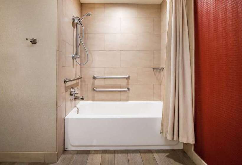 اتاق استاندارد با چشم‌انداز, Londonhouse Chicago Curio Collection By Hilton