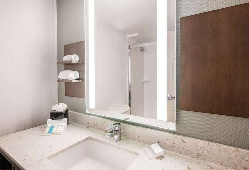 اتاق استاندارد با تخت بزرگ, Londonhouse Chicago Curio Collection By Hilton