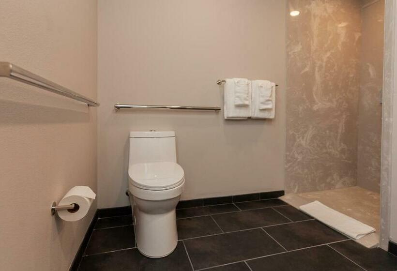 استودیوی استاندارد, Bywater Suite