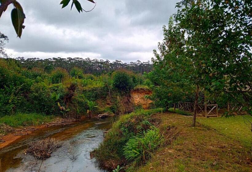 بنگله خانوادگی, Andasibe Sifaka Lodge