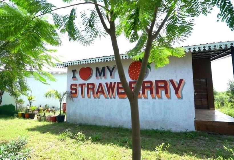اتاق لوکس, Strawberry Resort
