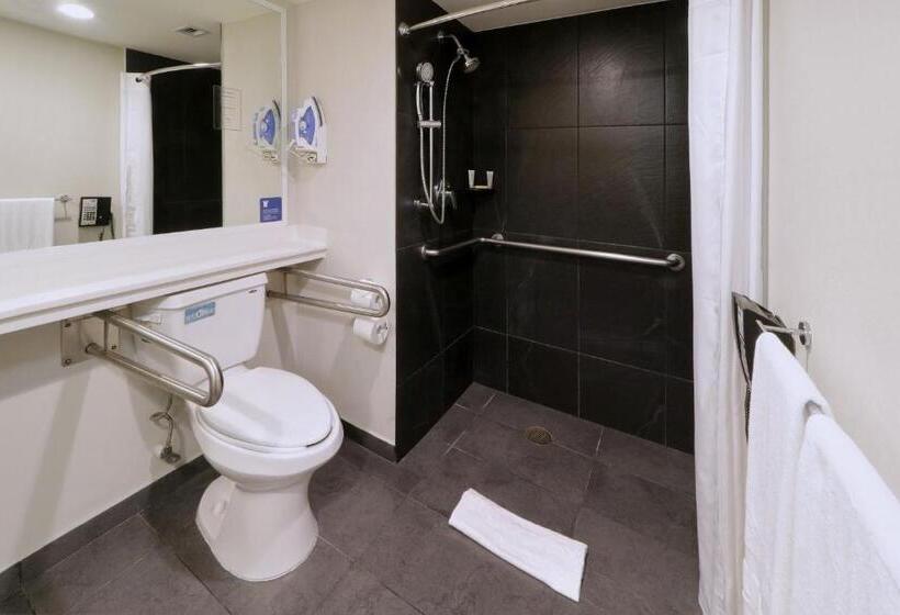 اتاق سوپریور, City Express By Marriott Piedras Negras