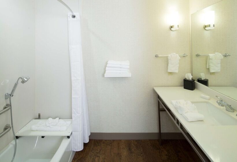 اتاق استاندارد با تخت بزرگ برای معلولان, Hilton Garden Inn Longview