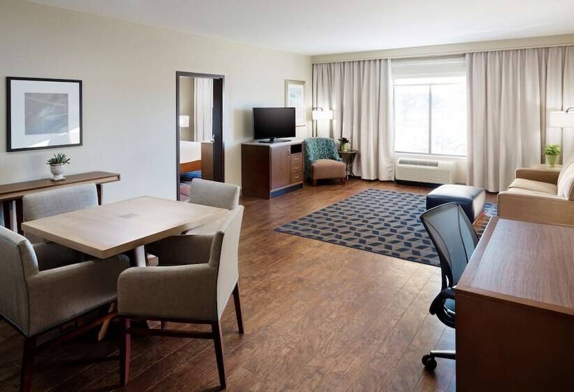 سوئیت با تخت بزرگ, Hilton Garden Inn Longview