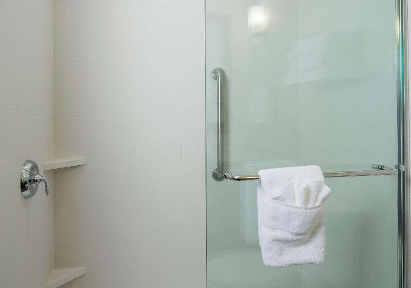 اتاق استاندارد با تخت بزرگ, Hilton Garden Inn Longview